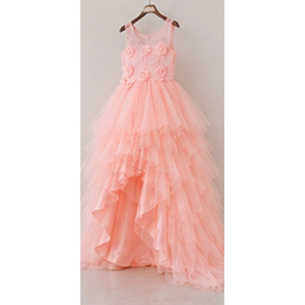 Girls Blush Pink High Low Flower Girl Dress Lace Tulle Pageant Wedding Train - Picture 5 of 10
